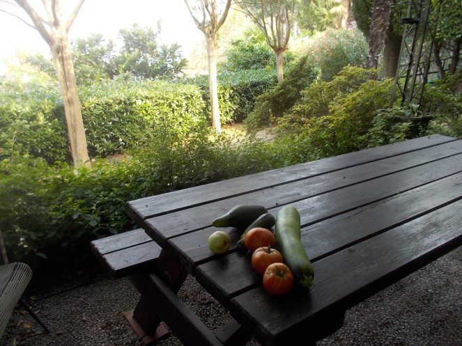 DSCN2561 (FILEminimizer)