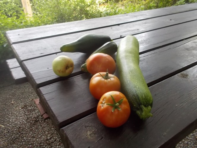 DSCN2562 (FILEminimizer)