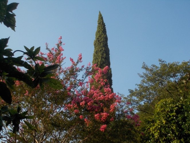 DSCN2568 (FILEminimizer)