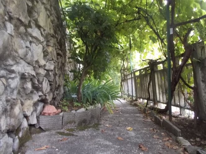 DSCN2570 (FILEminimizer)