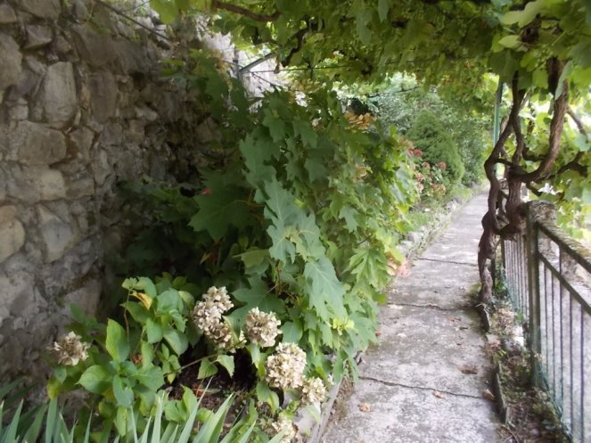 DSCN2571 (FILEminimizer)