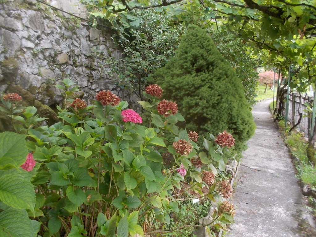 DSCN2572 (FILEminimizer)