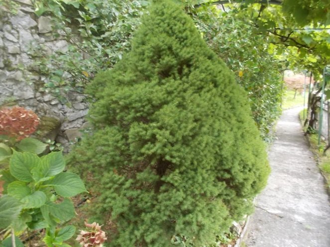 DSCN2573 (FILEminimizer)