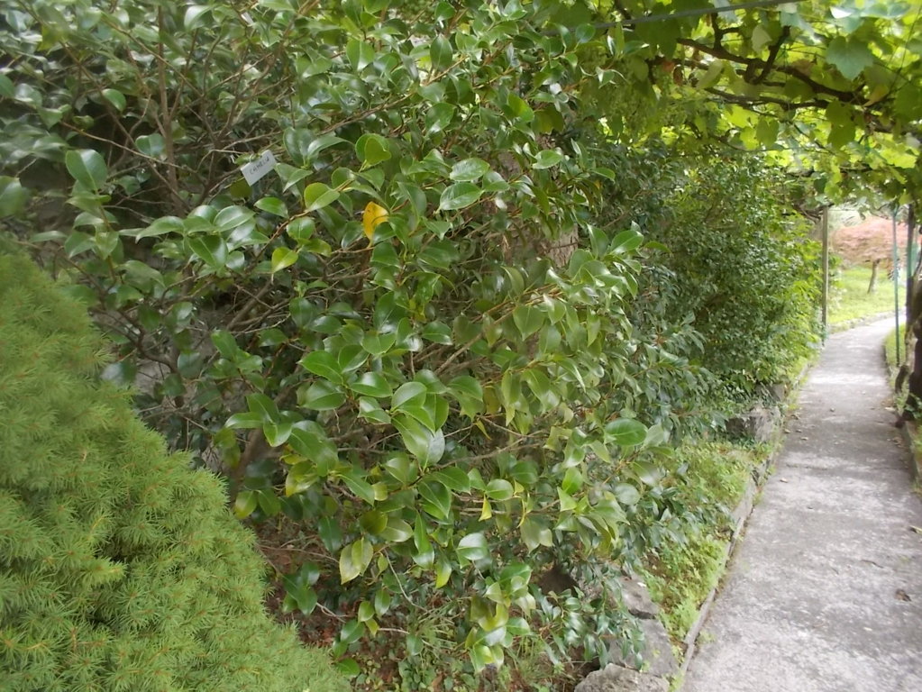 DSCN2574 (FILEminimizer)