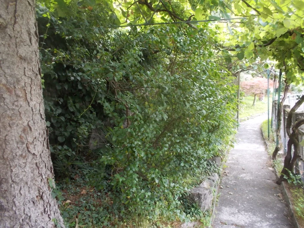 DSCN2576 (FILEminimizer)