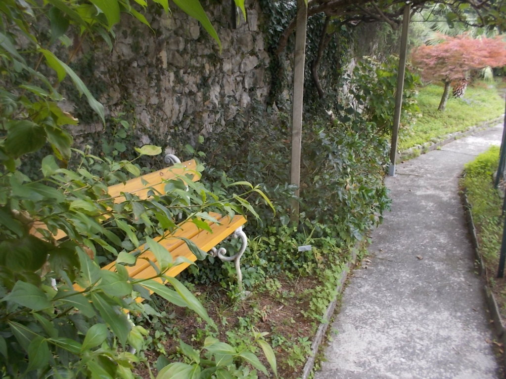 DSCN2578 (FILEminimizer)