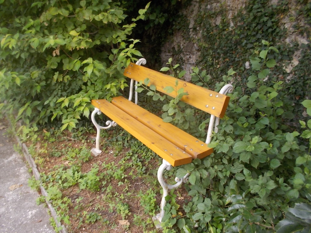 DSCN2579 (FILEminimizer)