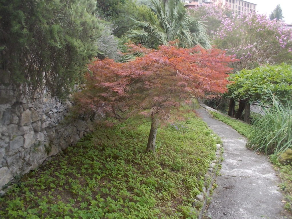 DSCN2582 (FILEminimizer)