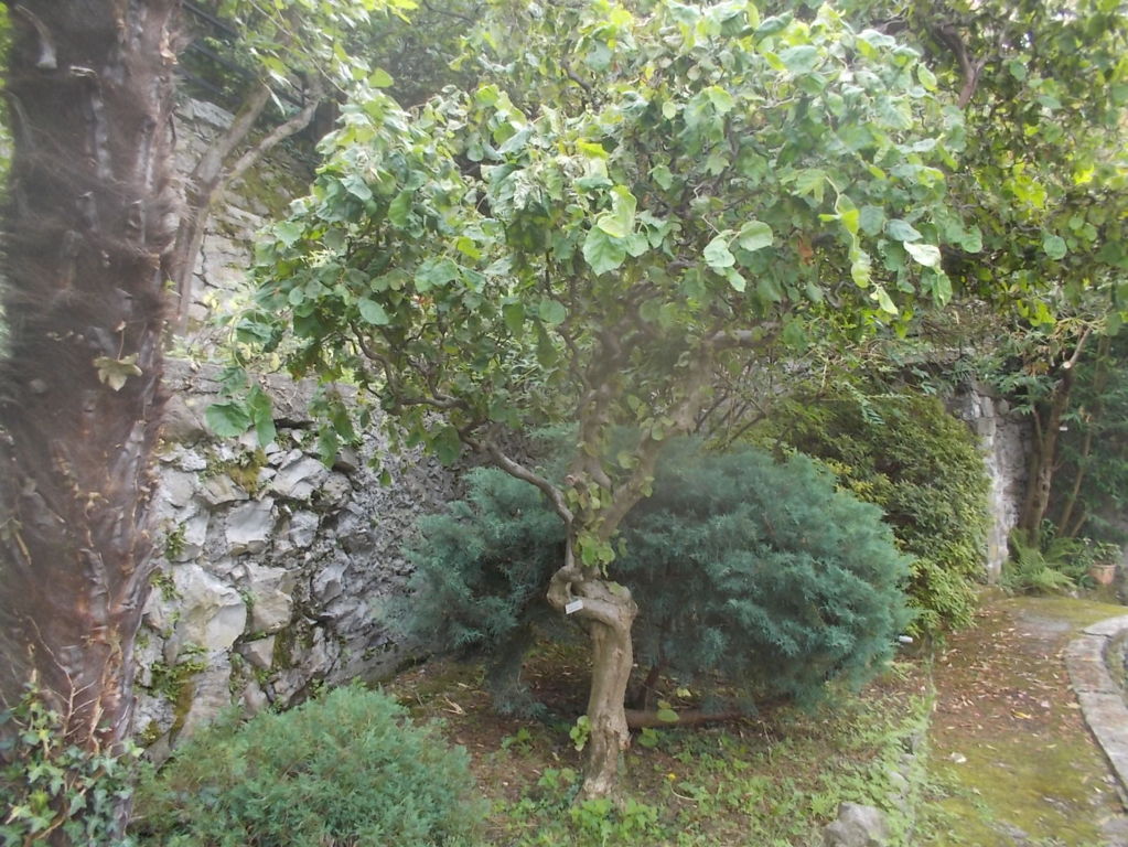 DSCN2586 (FILEminimizer)