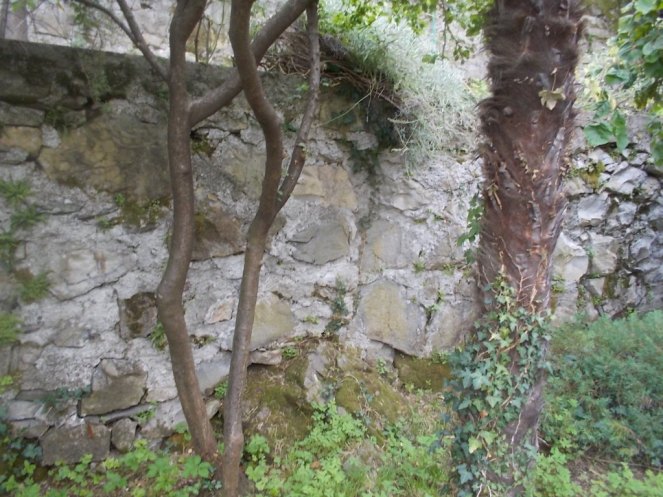 DSCN2587 (FILEminimizer)