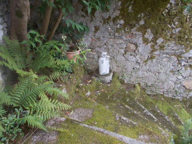 DSCN2591 (FILEminimizer)