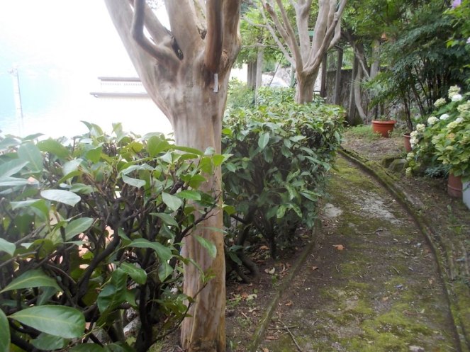 DSCN2594 (FILEminimizer)