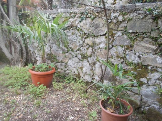 DSCN2599 (FILEminimizer)