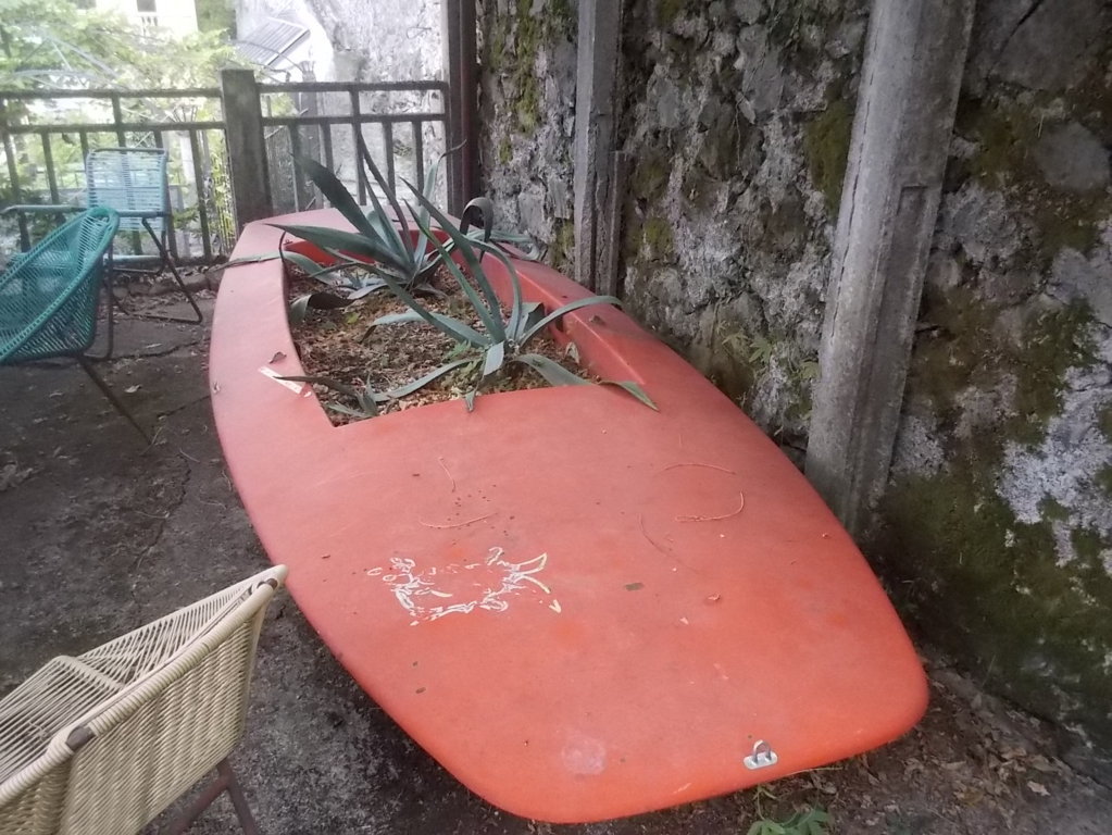 DSCN2600 (FILEminimizer)