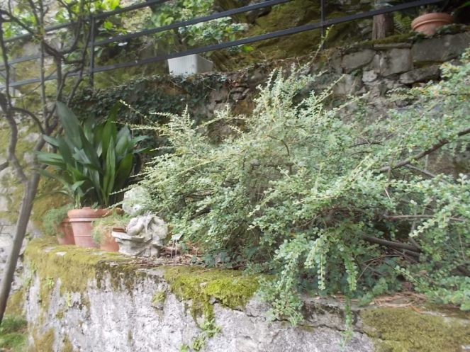 DSCN2603 (FILEminimizer)