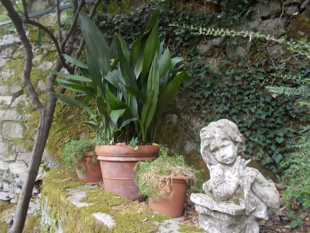 DSCN2605 (FILEminimizer)