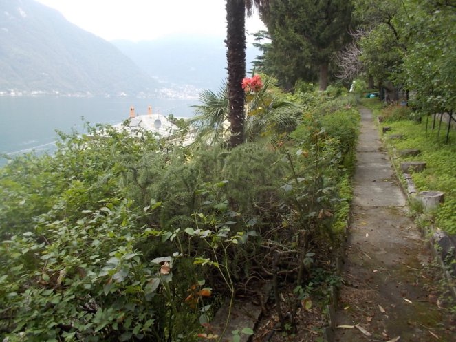 DSCN2607 (FILEminimizer)