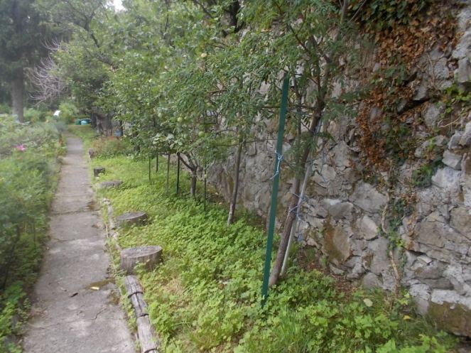 DSCN2608 (FILEminimizer)