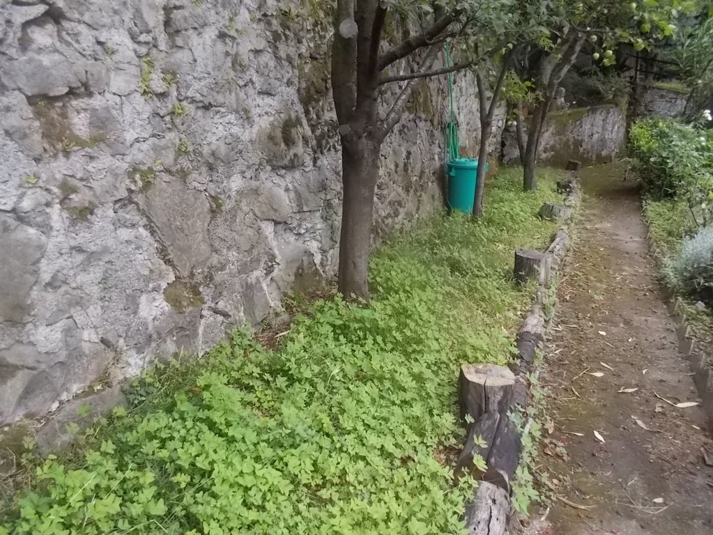 DSCN2610 (FILEminimizer)