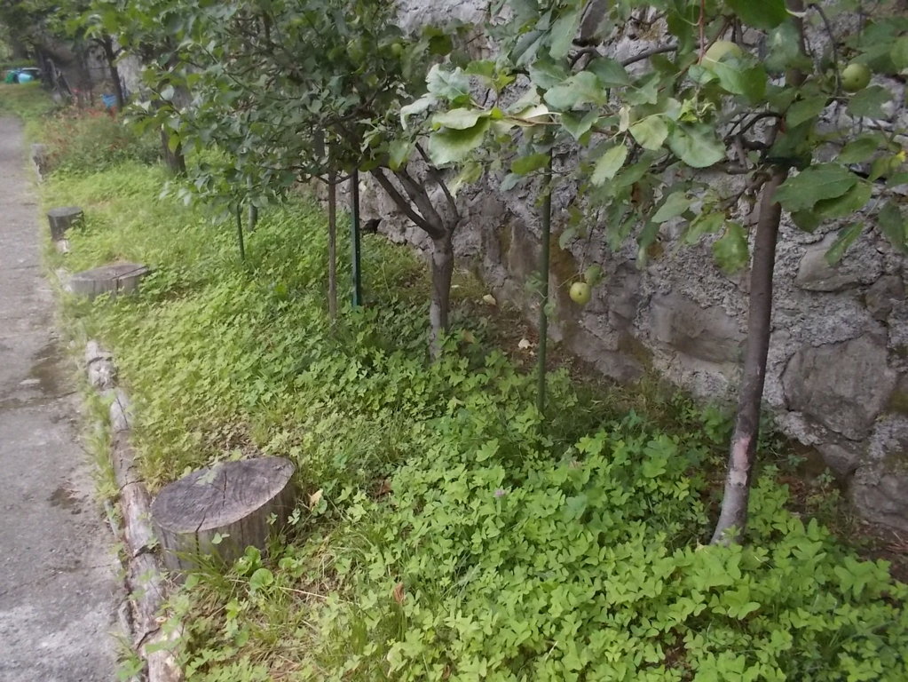 DSCN2611 (FILEminimizer)