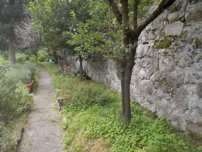 DSCN2612 (FILEminimizer)