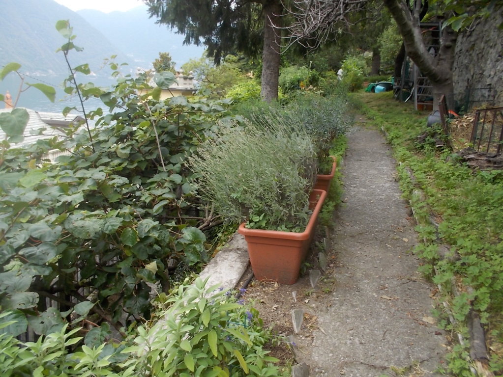 DSCN2615 (FILEminimizer)