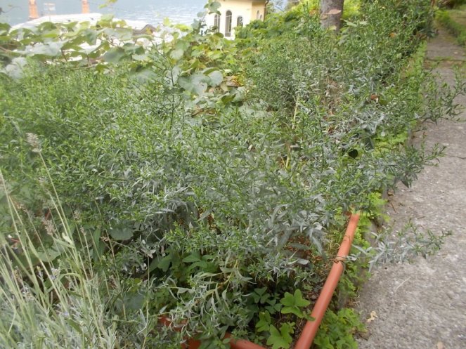 DSCN2617 (FILEminimizer)