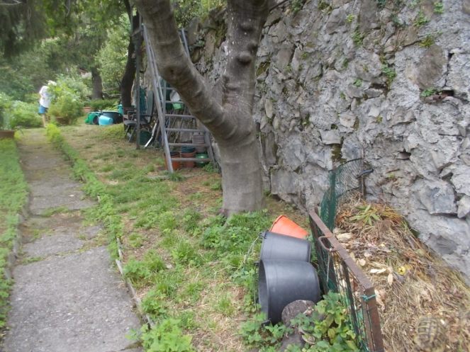 DSCN2618 (FILEminimizer)