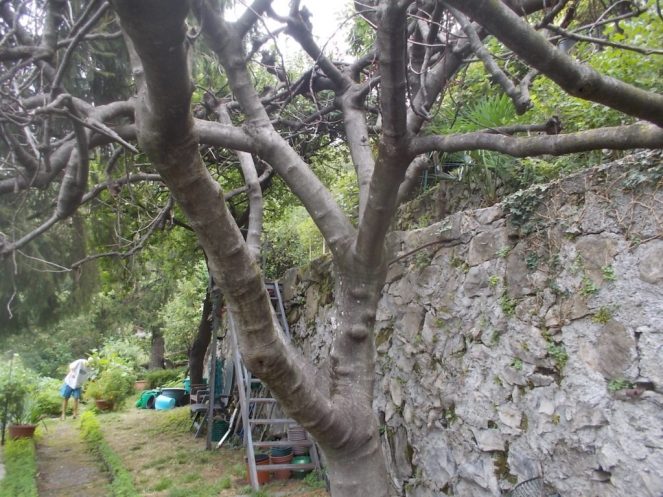 DSCN2619 (FILEminimizer)