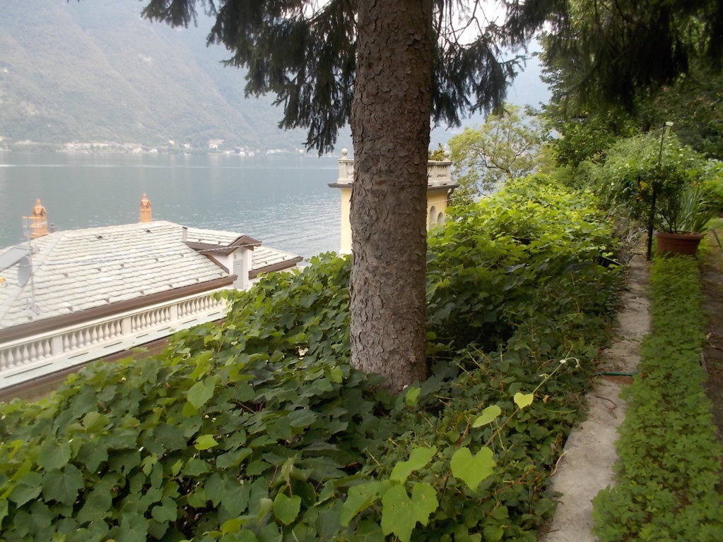 DSCN2622 (FILEminimizer)