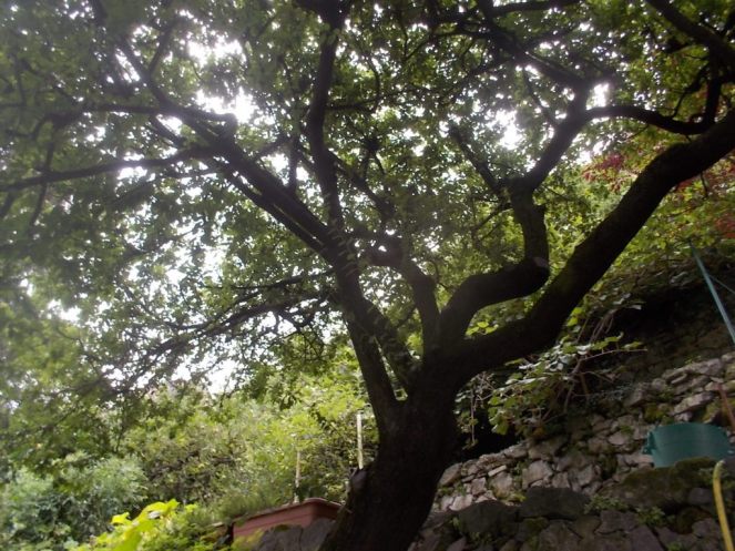 DSCN2624 (FILEminimizer)