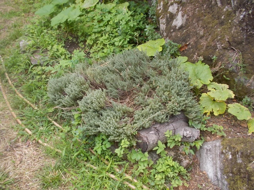 DSCN2627 (FILEminimizer)