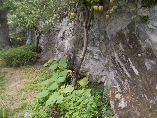 DSCN2628 (FILEminimizer)