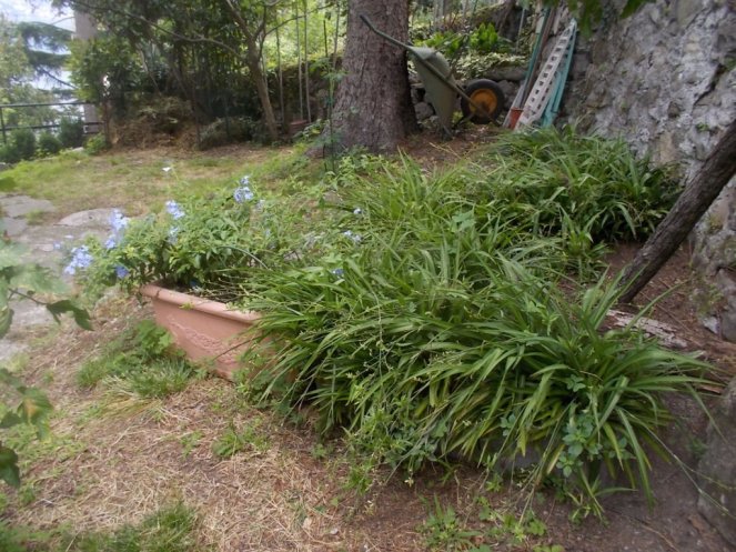 DSCN2630 (FILEminimizer)