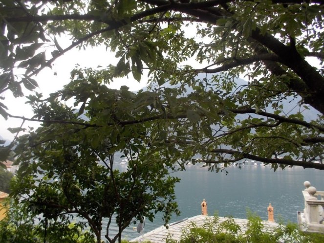 DSCN2633 (FILEminimizer)