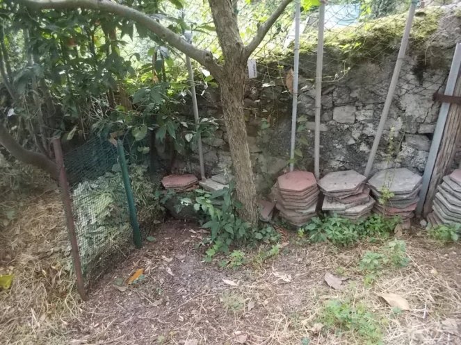 DSCN2634 (FILEminimizer)