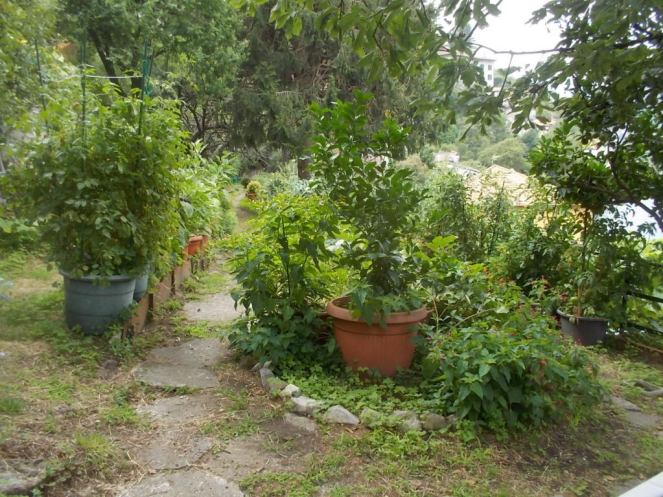 DSCN2636 (FILEminimizer)