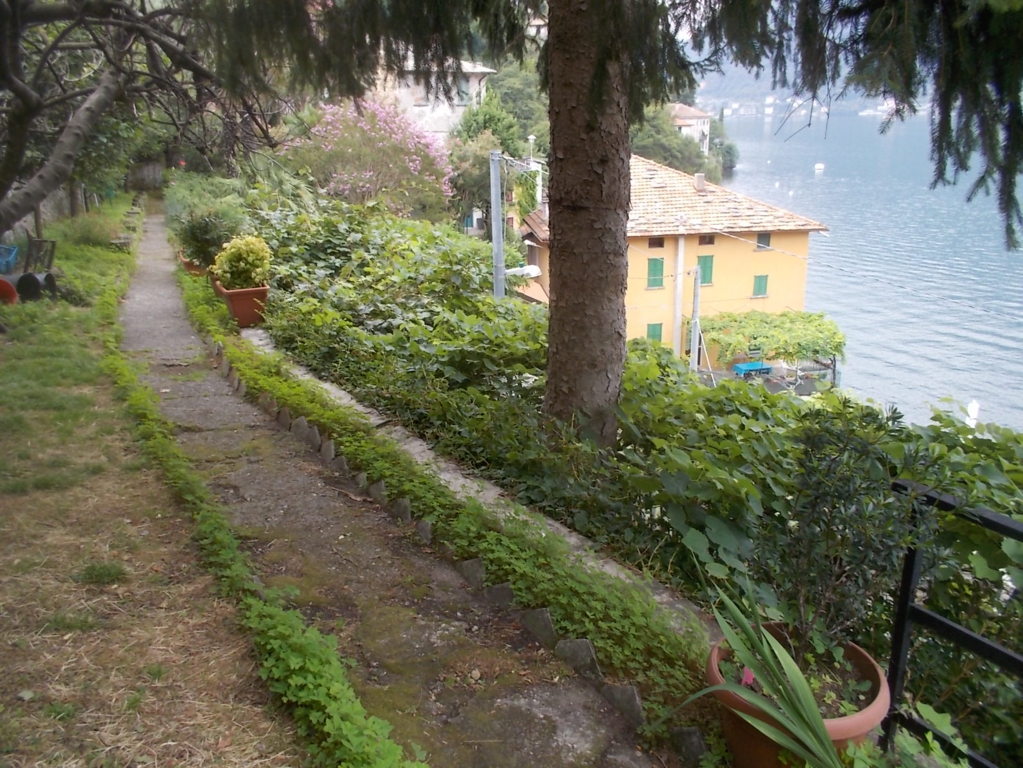 DSCN2637 (FILEminimizer)