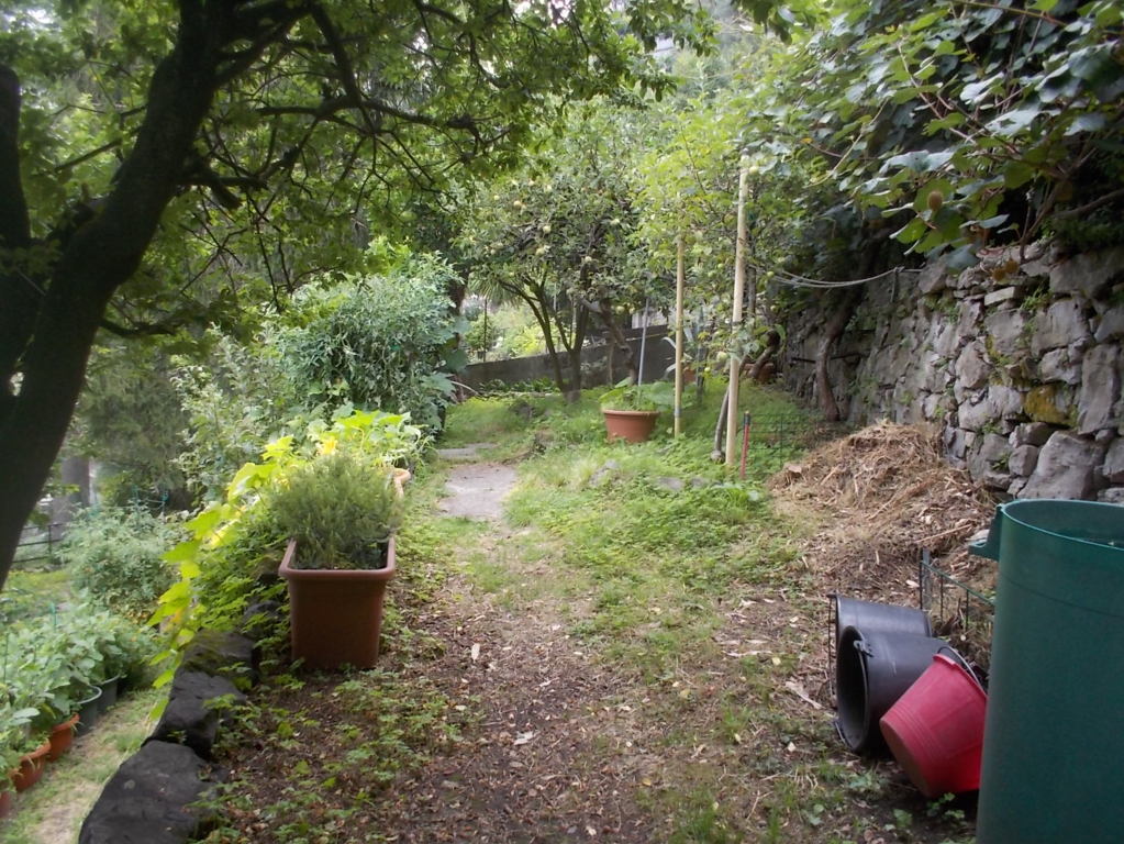 DSCN2639 (FILEminimizer)