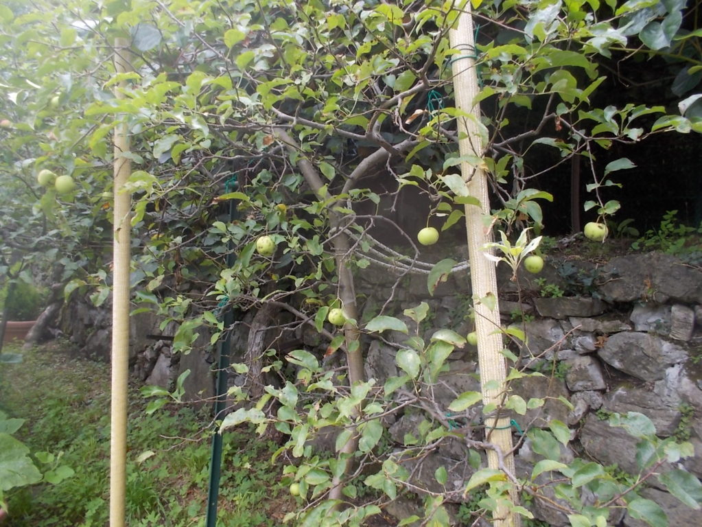 DSCN2641 (FILEminimizer)