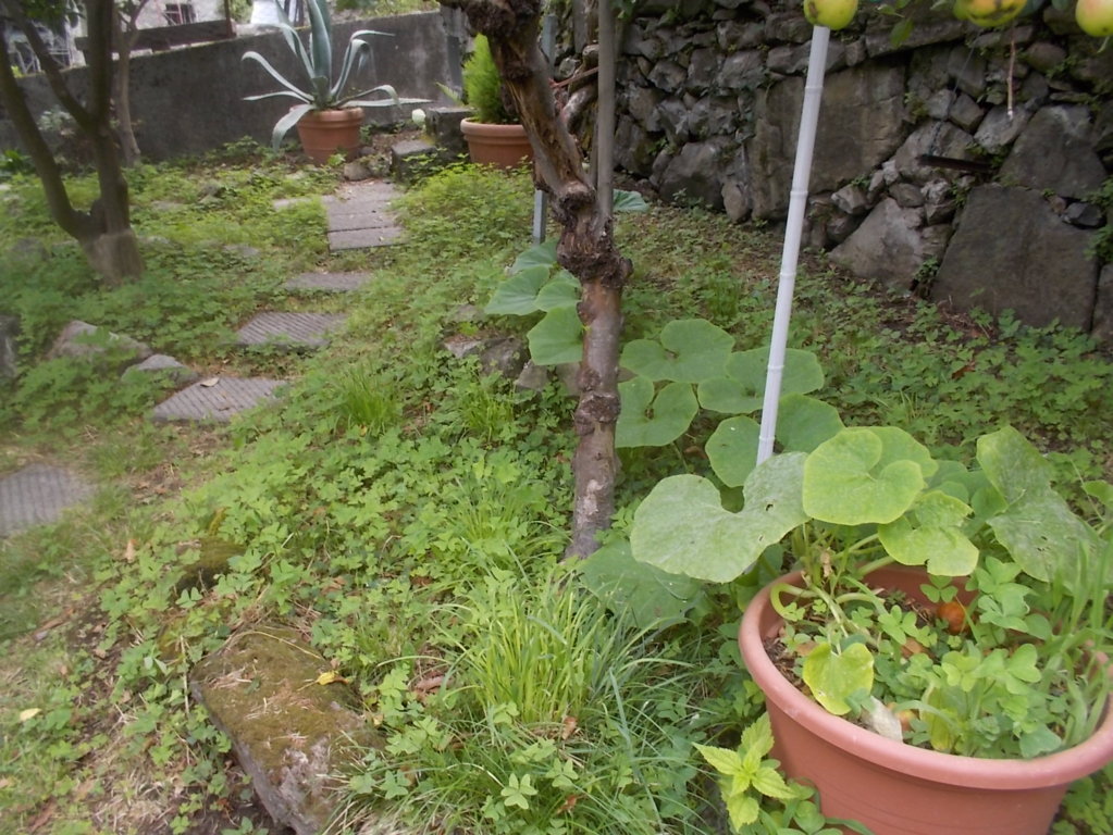 DSCN2642 (FILEminimizer)