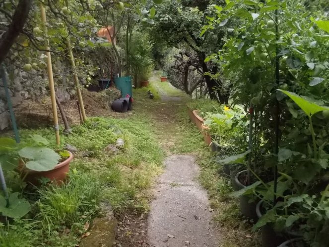 DSCN2650 (FILEminimizer)