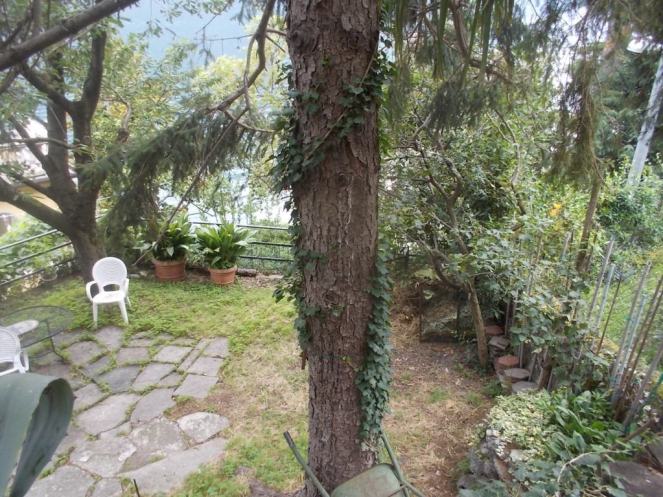 DSCN2653 (FILEminimizer)