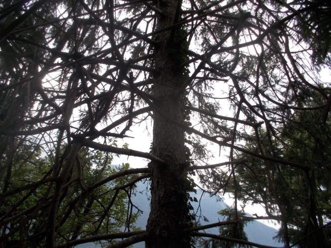 DSCN2654 (FILEminimizer)