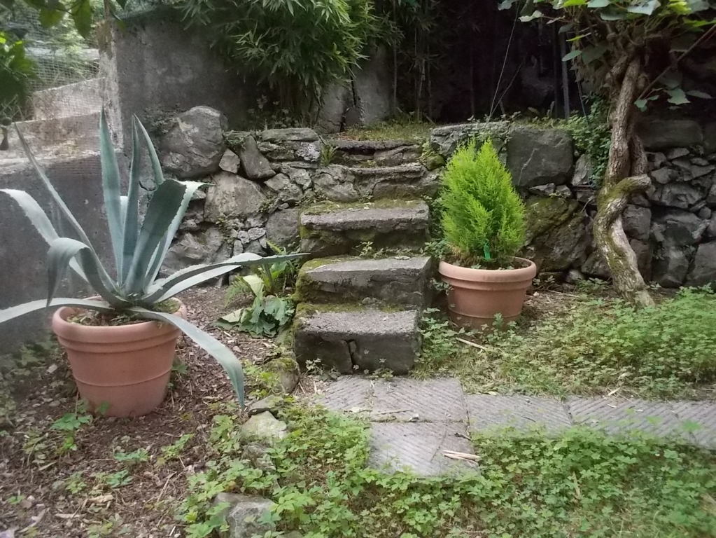 DSCN2657 (FILEminimizer)