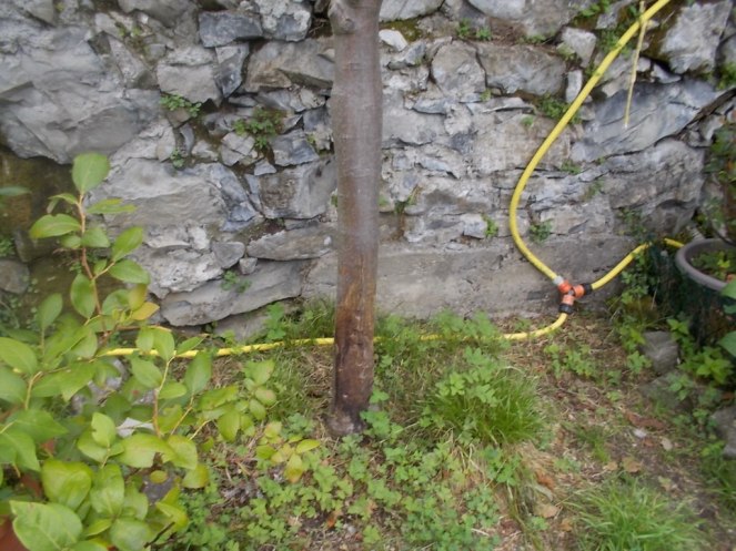 DSCN2662 (FILEminimizer)