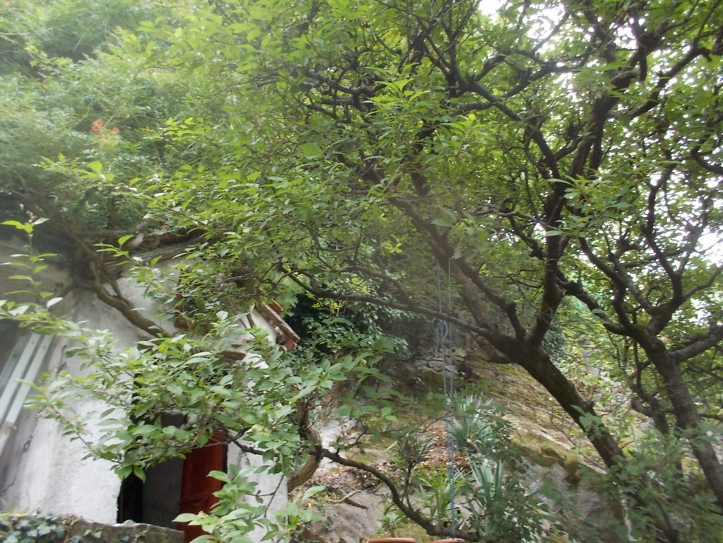 DSCN2667 (FILEminimizer)