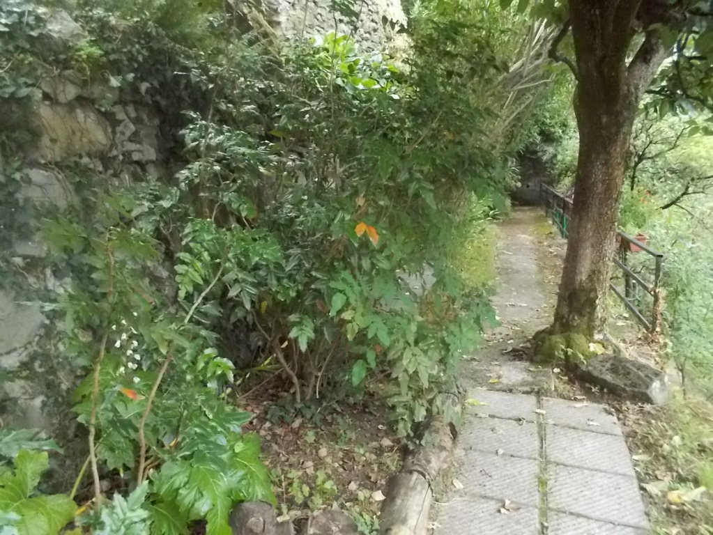 DSCN2669 (FILEminimizer)