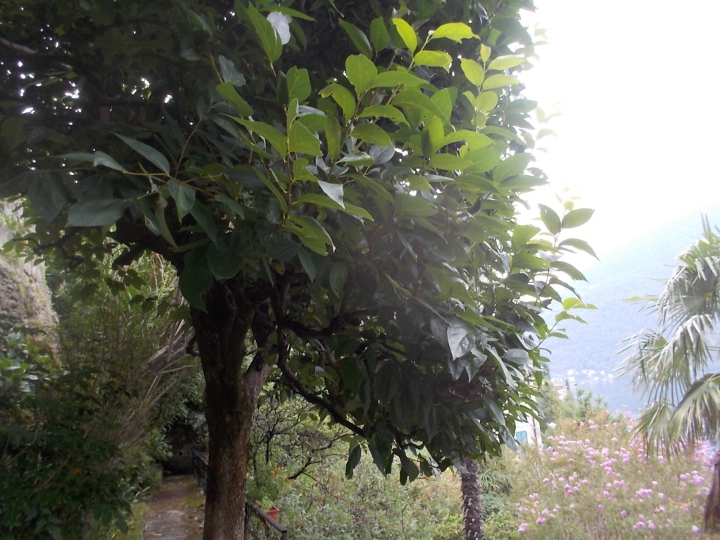 DSCN2670 (FILEminimizer)