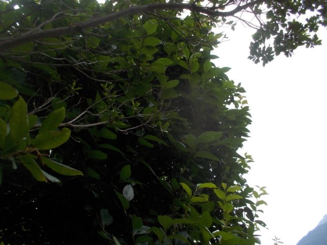 DSCN2671 (FILEminimizer)